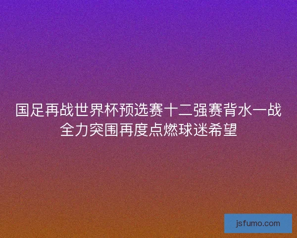 国足再战世界杯预选赛十二强赛背水一战全力突围再度点燃球迷希望